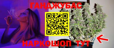 индика Мариинск