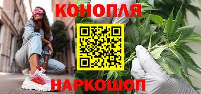 дмт Можга