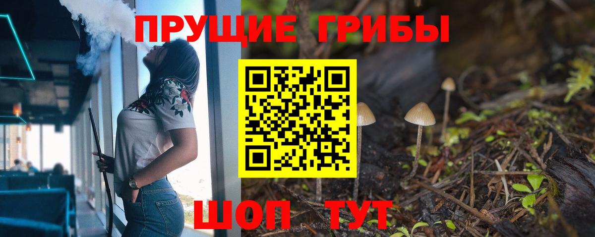 Псилоцибиновые грибы Psilocybe Верхняя Салда